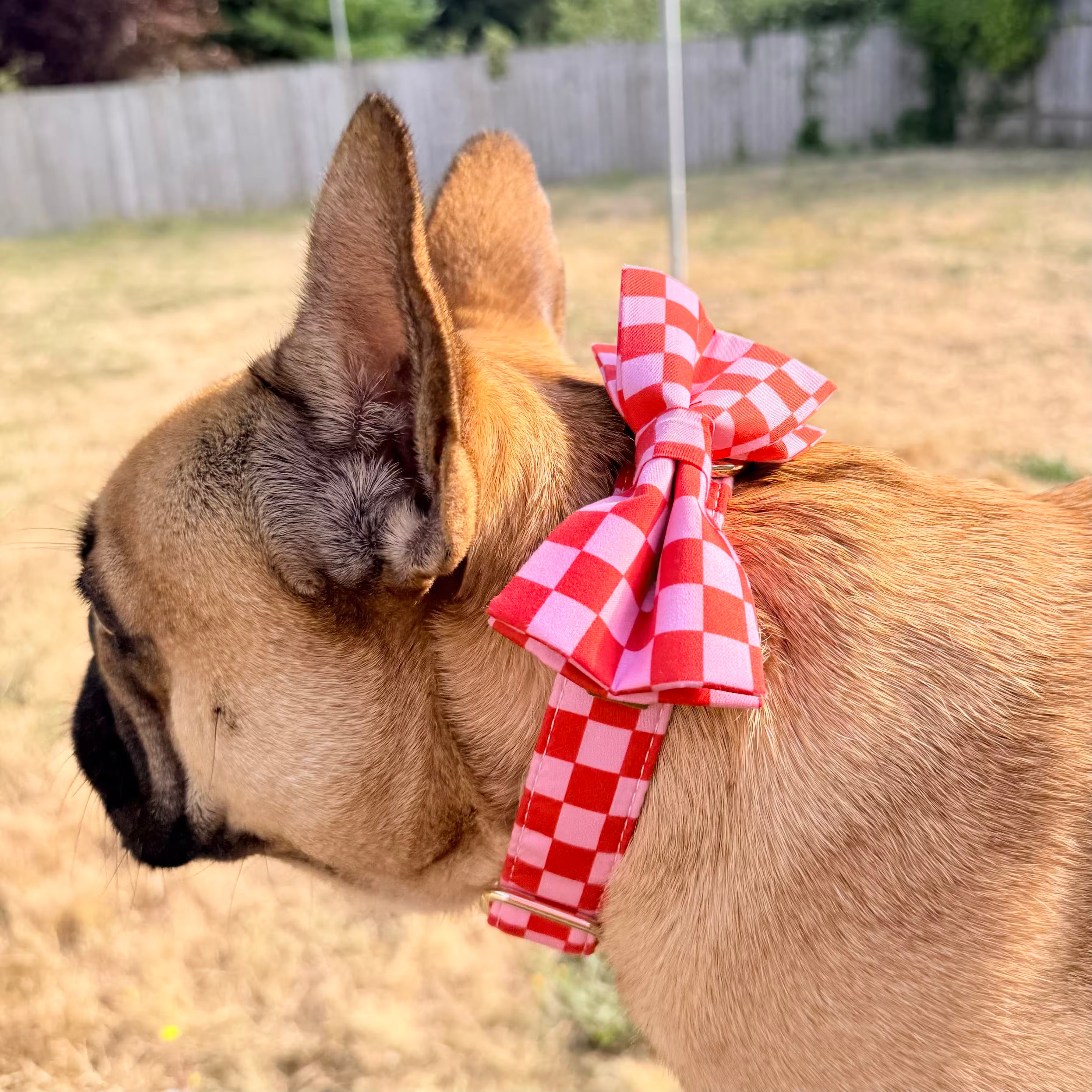 Designed Red Caro Dog Vest Set