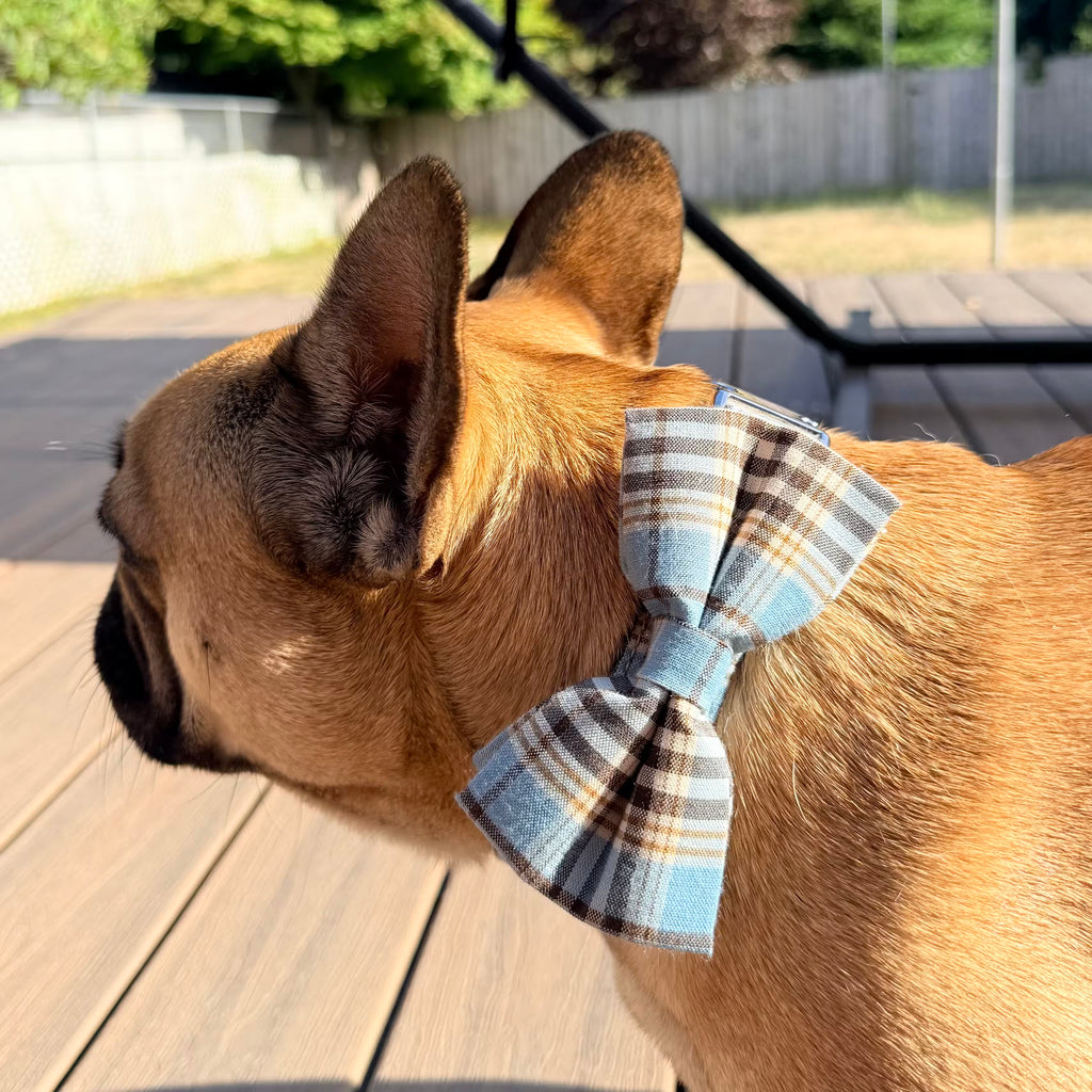 Designed Blue Brown Plaid Dog Vest Set