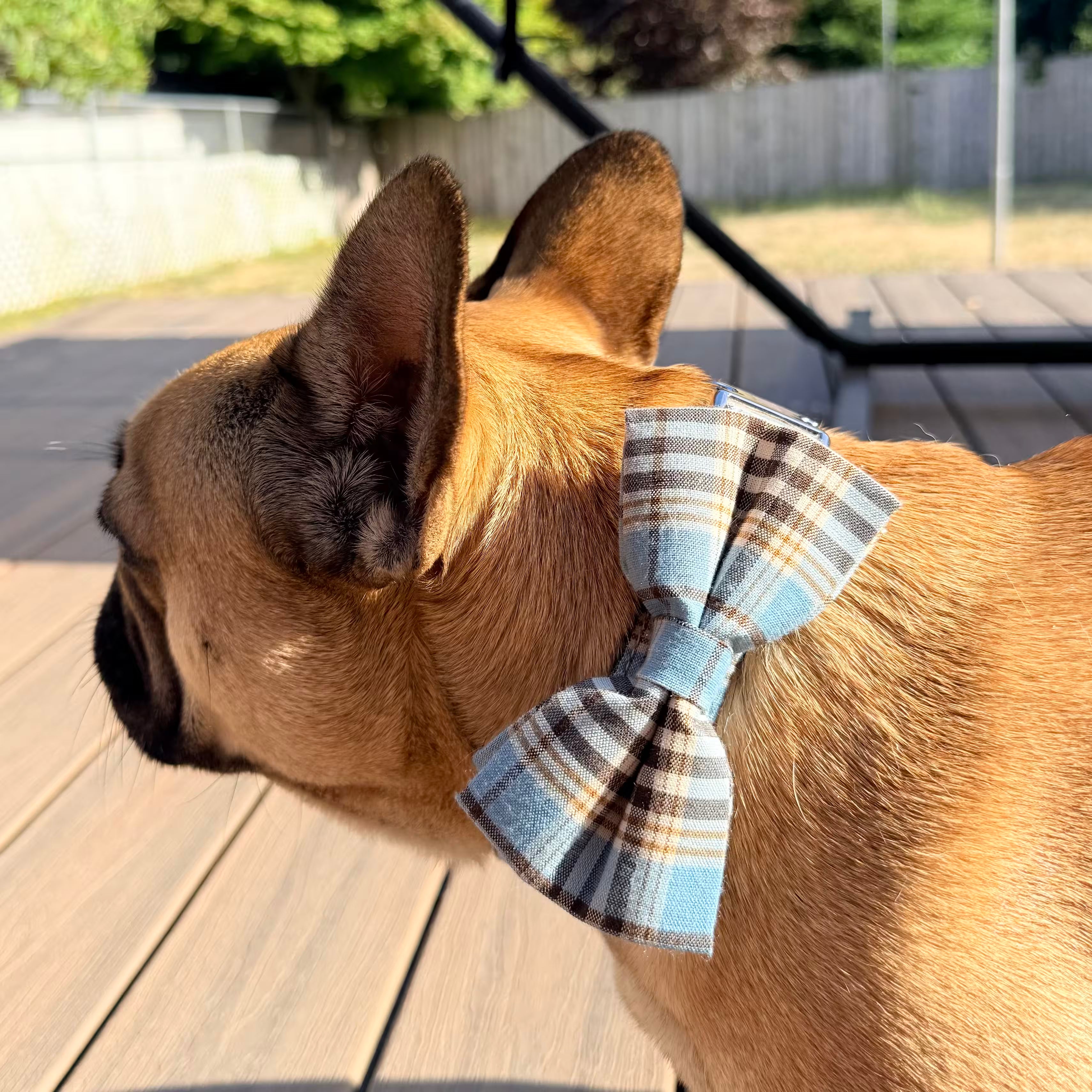 Designed Blue Brown Plaid Dog Vest Set