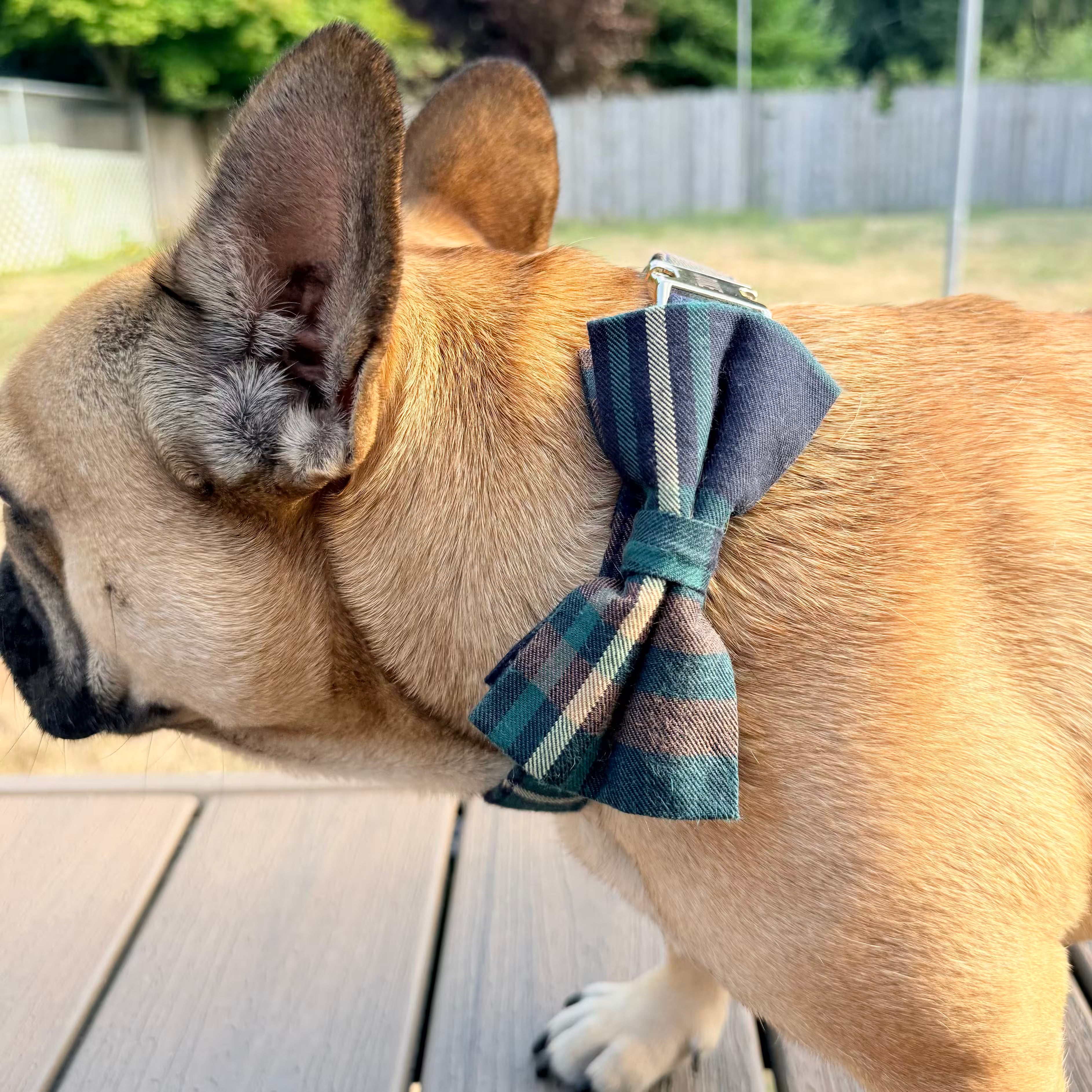 Designed Navy Plaid Dog Vest Set
