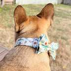 Designed Dinosaur Dog Vest Set