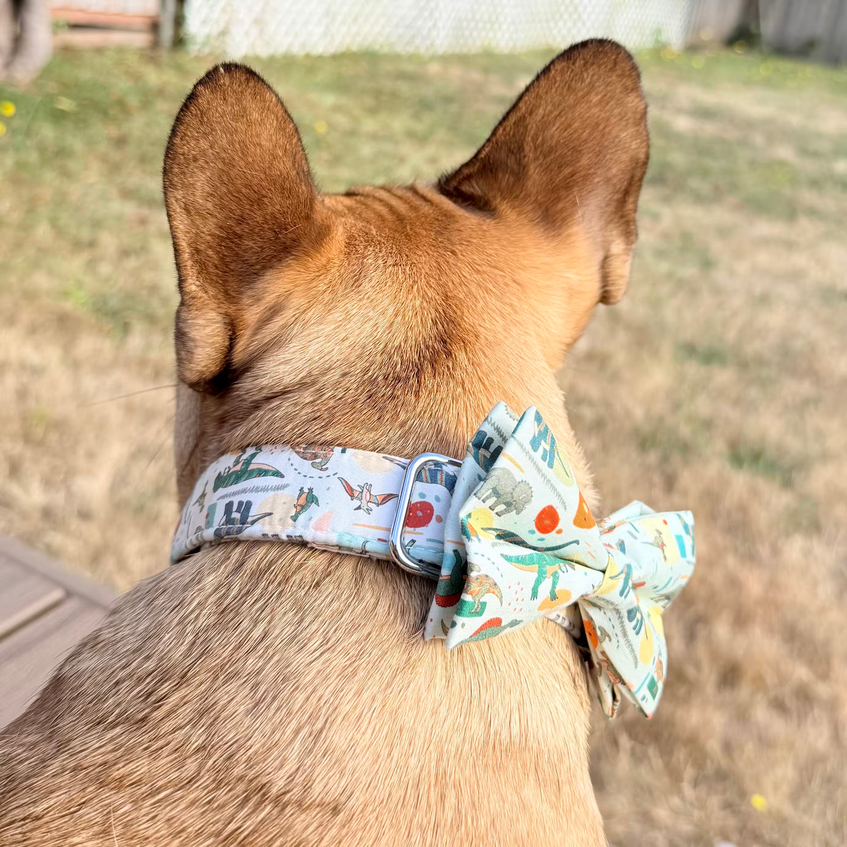 Designed Dinosaur Dog Vest Set