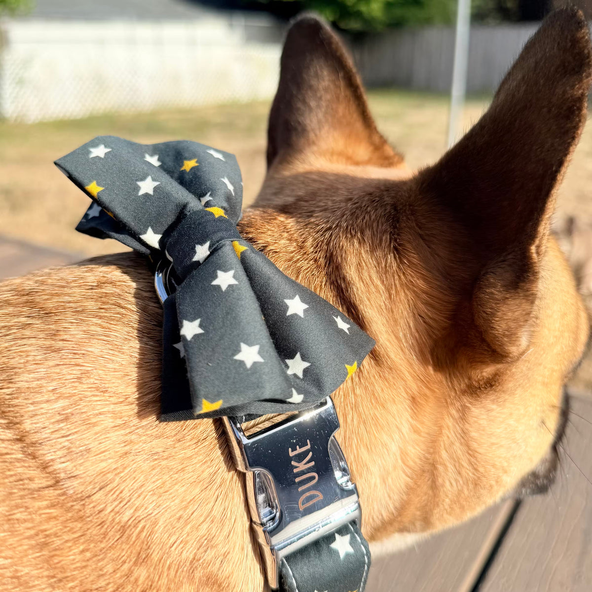 Designed Star Dog Vest Set