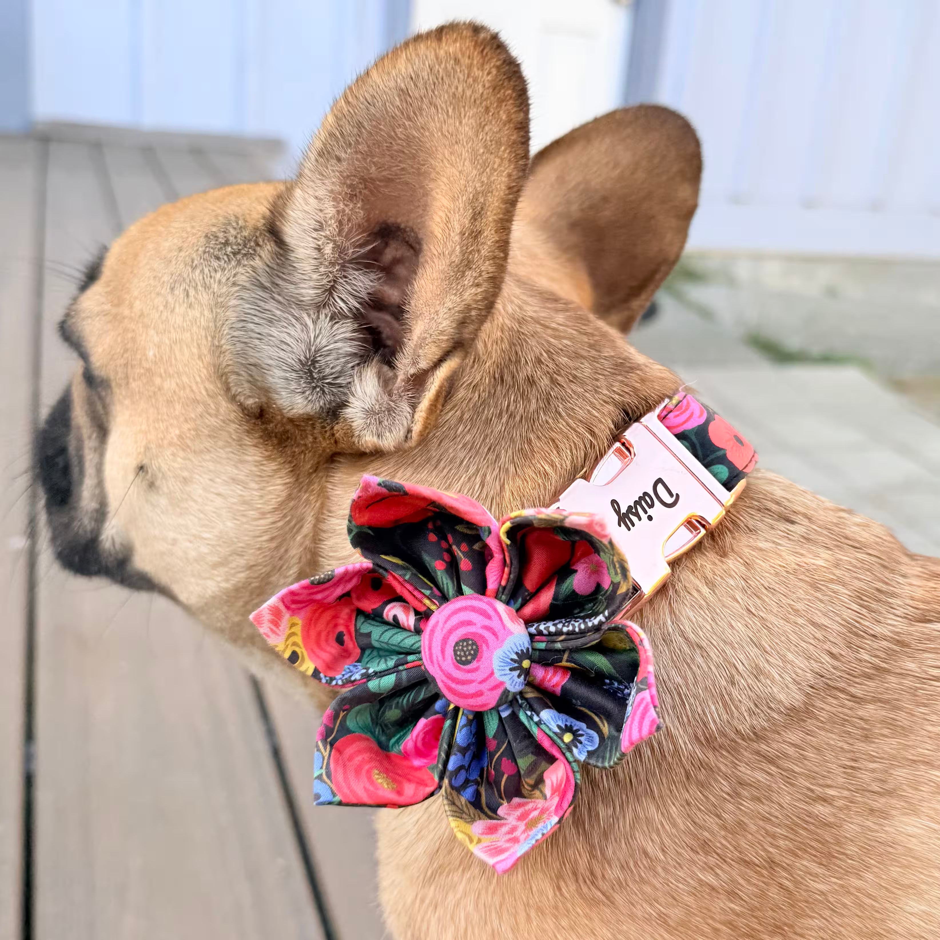Designed Midnight Floral Dog Vest Set