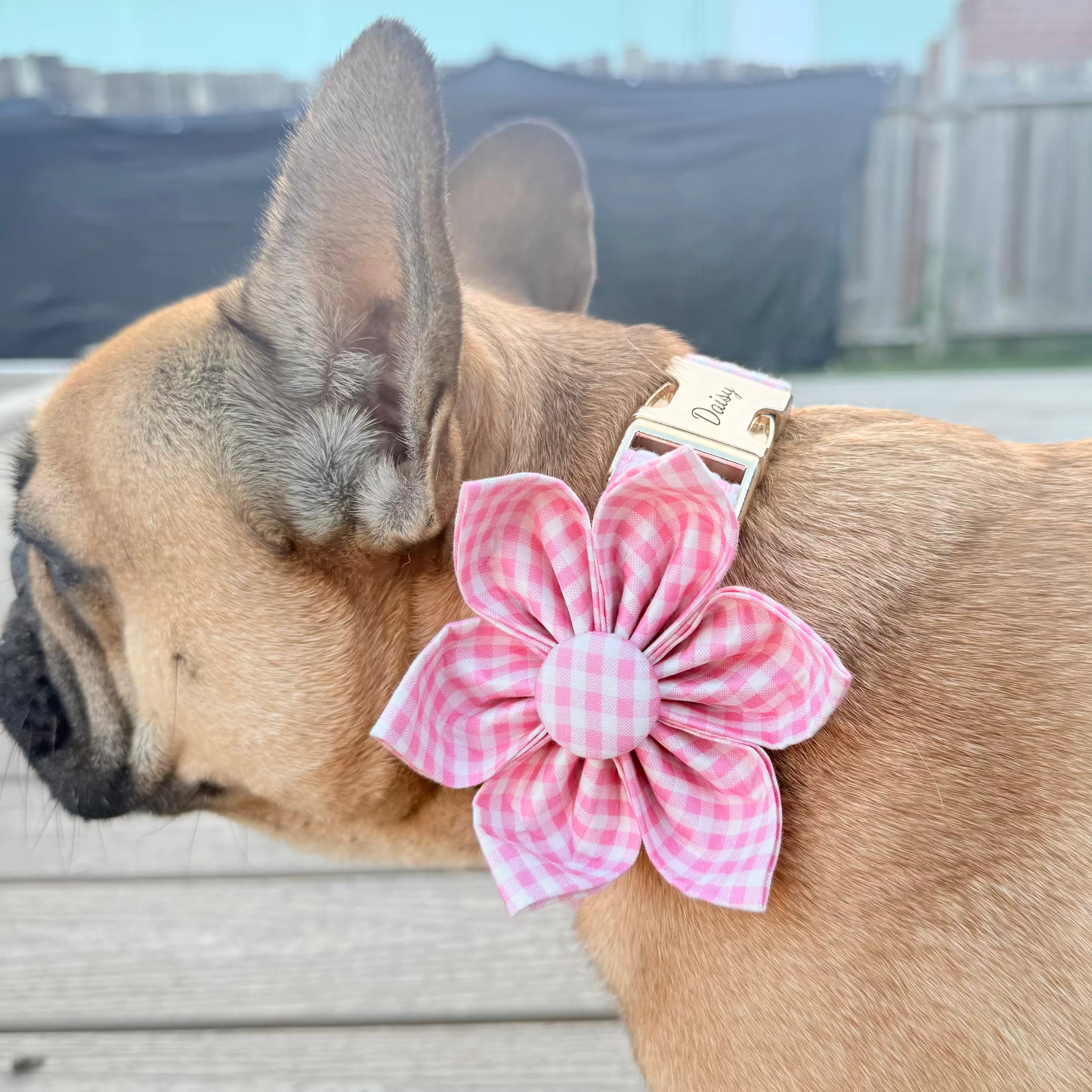 Designed Pink Caro Dog Vest Set