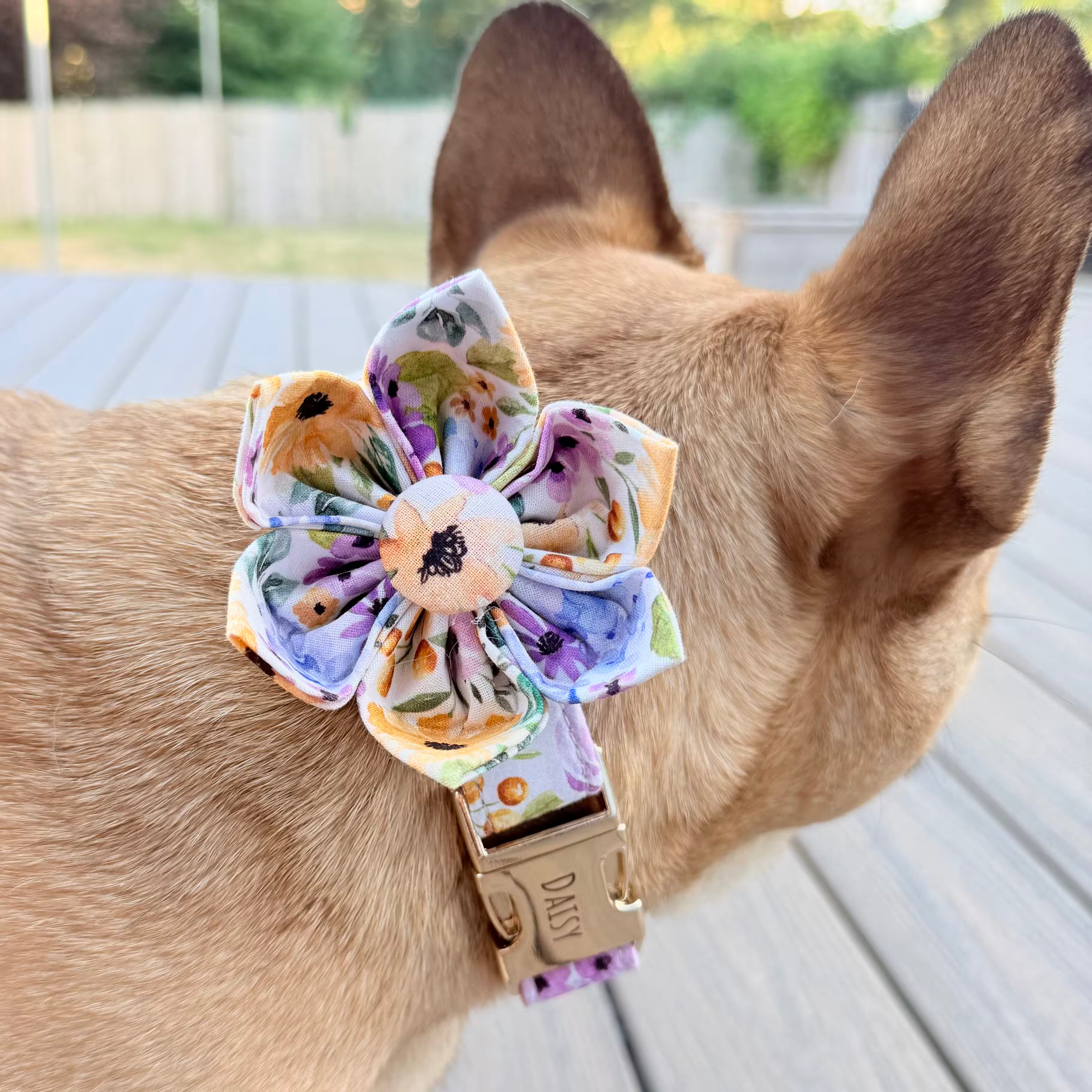 Designed Lavender Meadow Floral Dog Vest Set