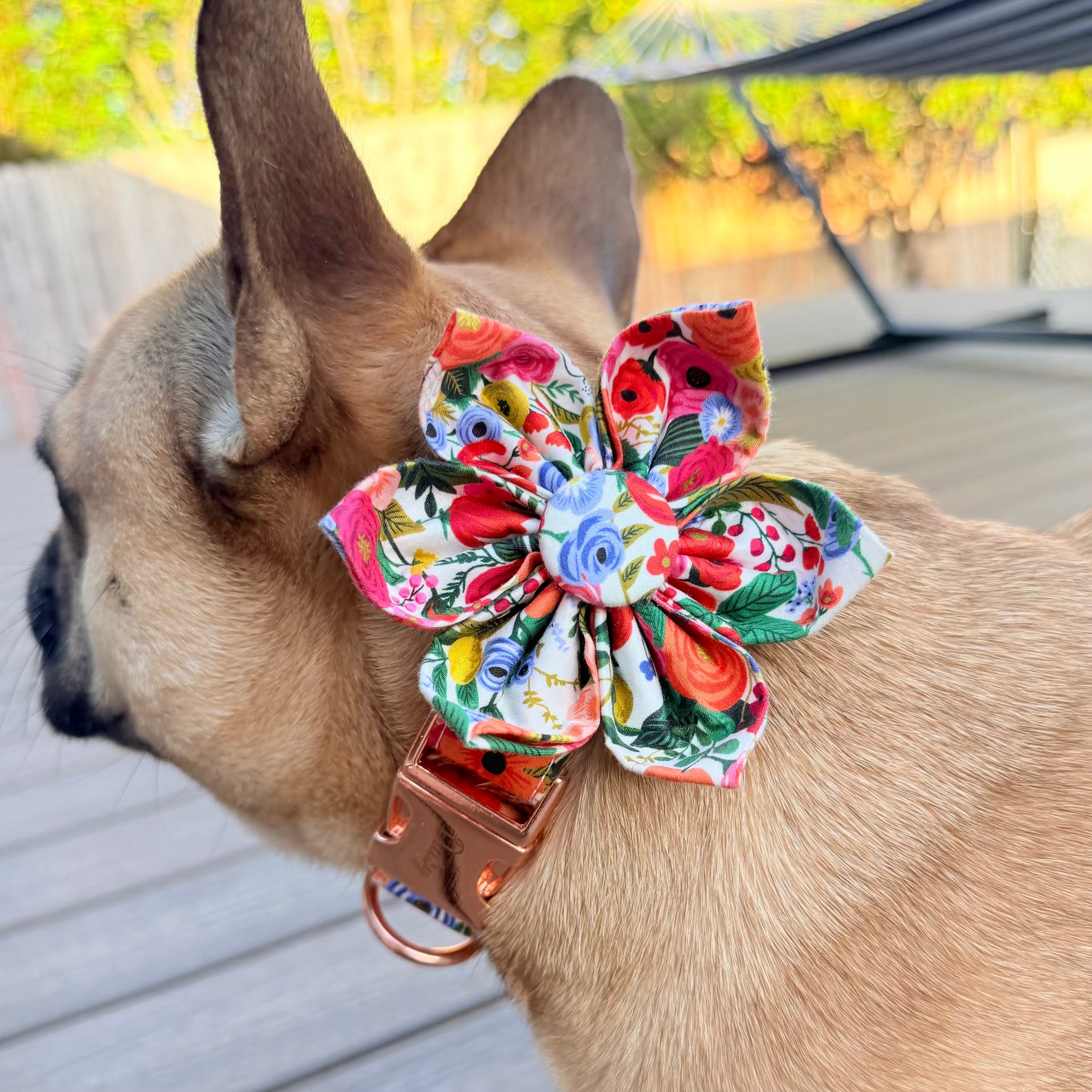 Designed Spring Floral Dog Vest Set