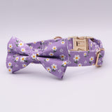 Bowtie
