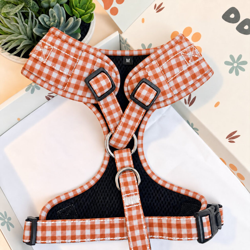 Designed Orange Gingham Dog Harness Set