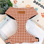 Designed Orange Gingham Dog Harness Set