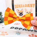 Designed Orange-Yellow Caro Dog Vest Set