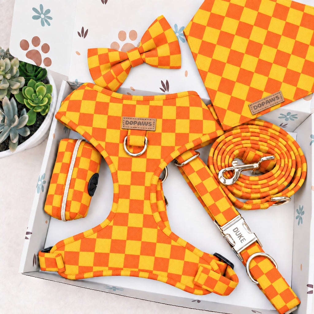 Designed Orange-Yellow Caro Dog Vest Set