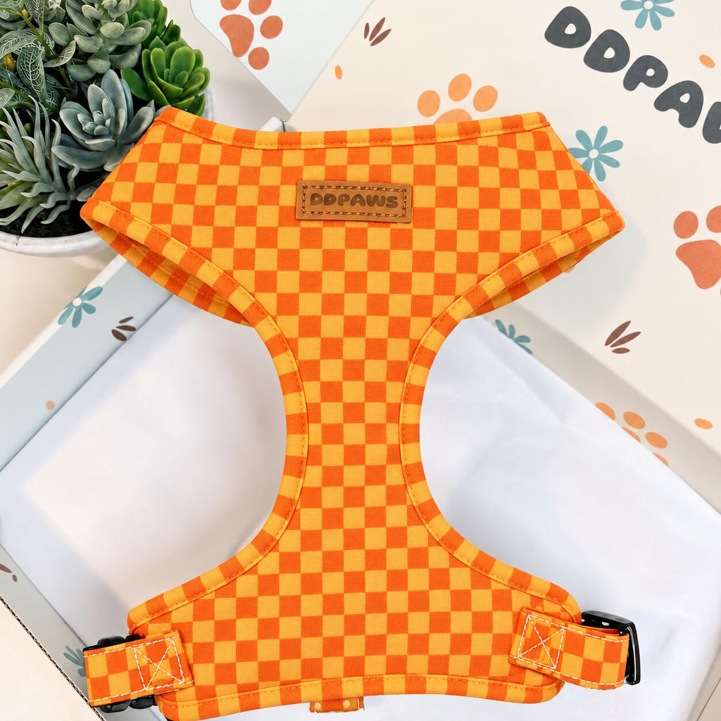 Designed Orange-Yellow Caro Dog Vest Set