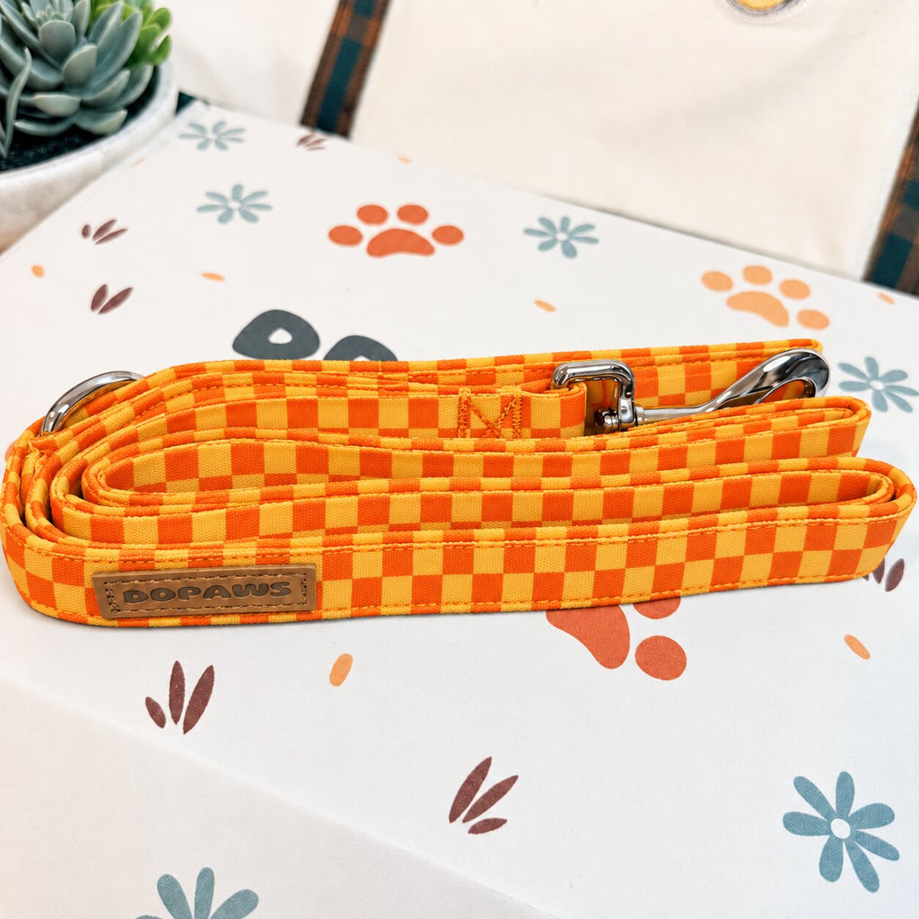 Designed Orange-Yellow Caro Dog Vest Set