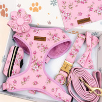 Designed Pink Blossom Floral Dog Vest Set