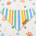 Designed Rainbow Stripe Dog Harness Set