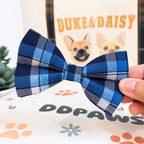 Designed Blue Plaid Dog Harness Set