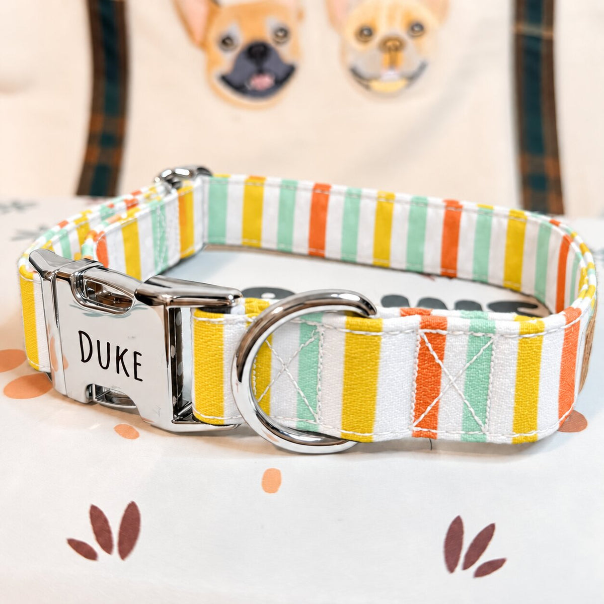 Designed Rainbow Stripe Dog Harness Set