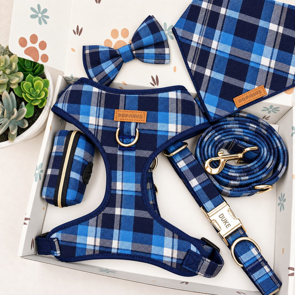 Designed Blue Plaid Dog Harness Set
