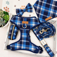 Designed Blue Plaid Dog Harness Set