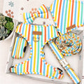 Designed Rainbow Stripe Dog Harness Set