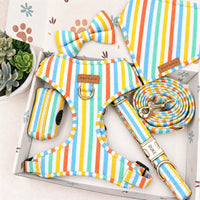 Designed Rainbow Stripe Dog Harness Set