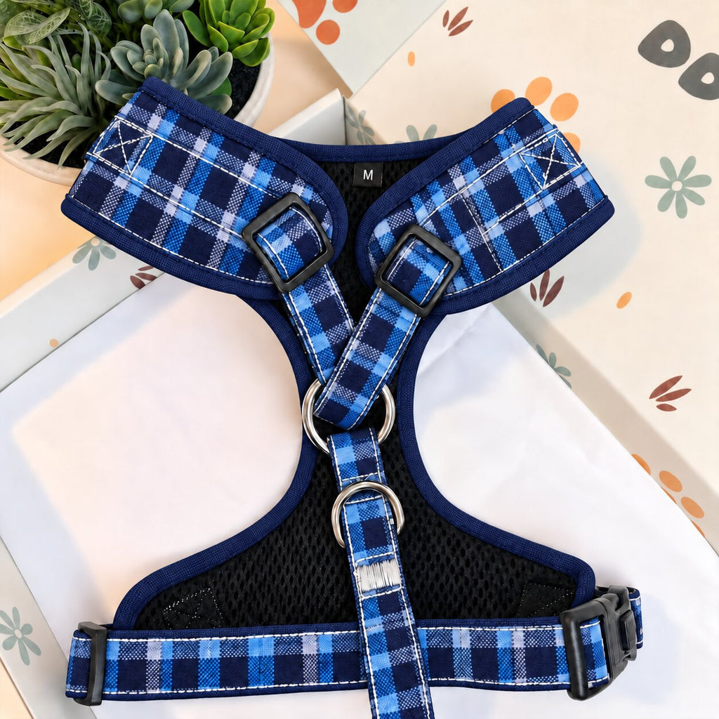 Designed Blue Plaid Dog Harness Set