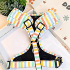 Designed Rainbow Stripe Dog Harness Set
