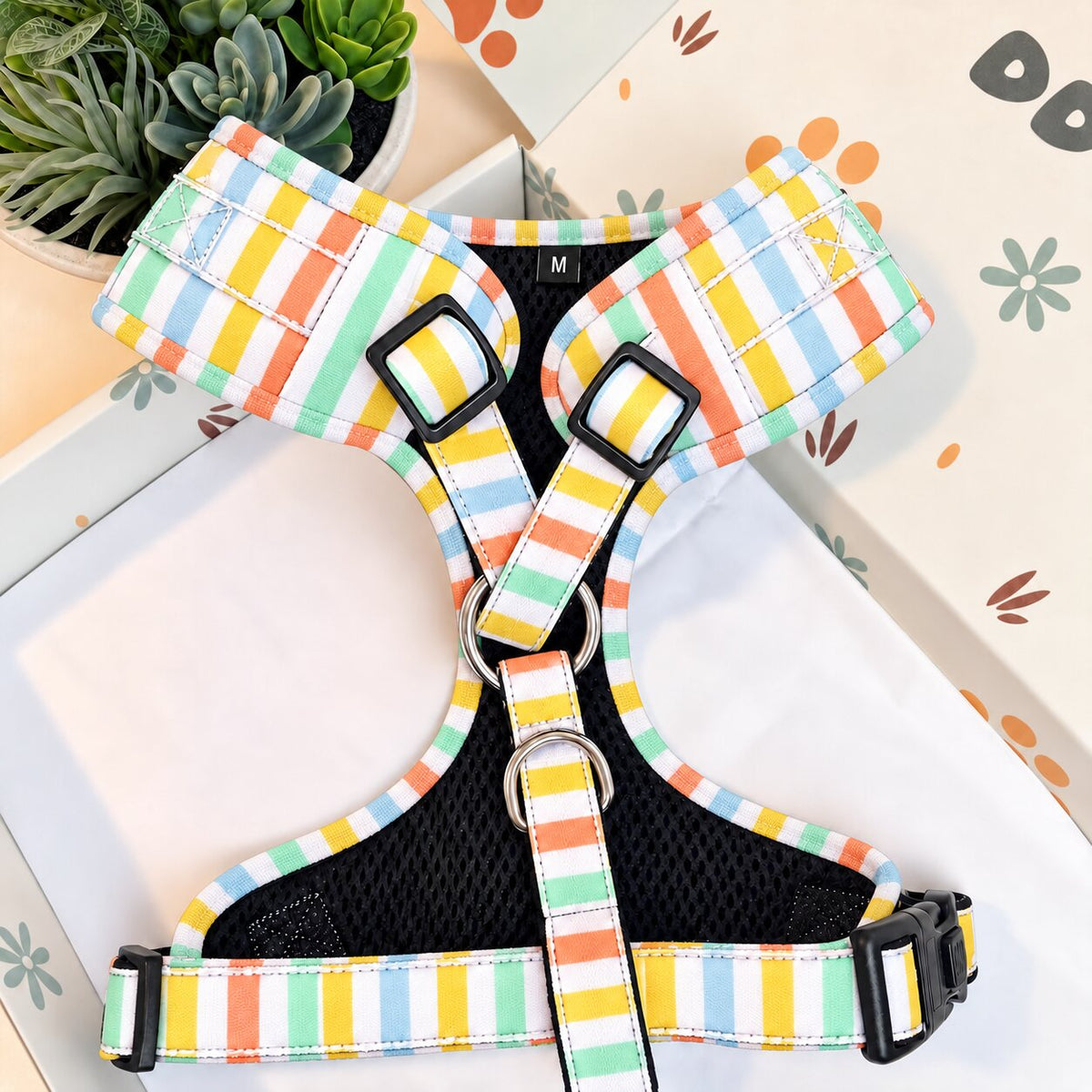 Designed Rainbow Stripe Dog Harness Set
