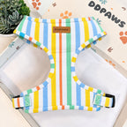 Designed Rainbow Stripe Dog Harness Set