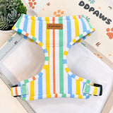 Harness