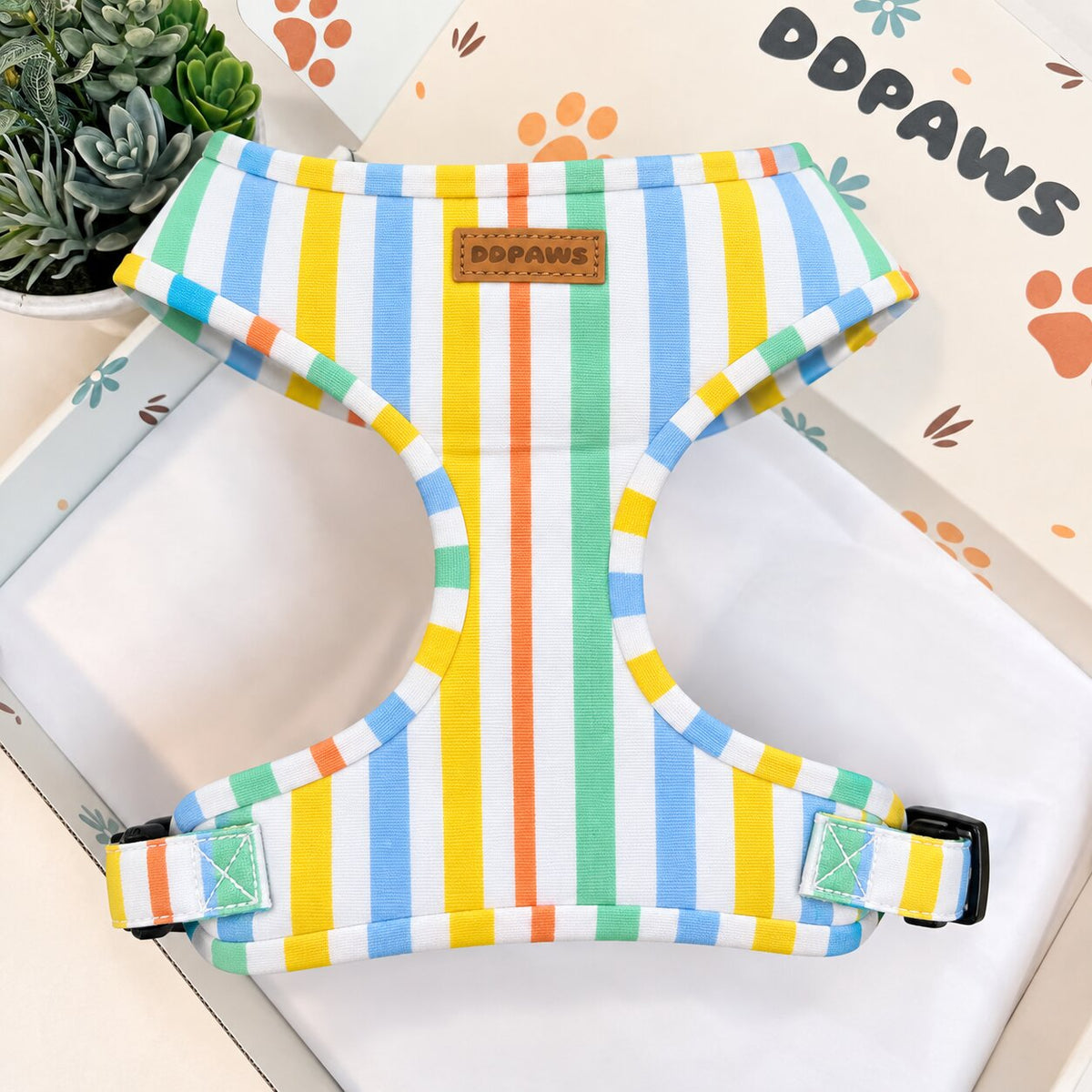 Designed Rainbow Stripe Dog Harness Set