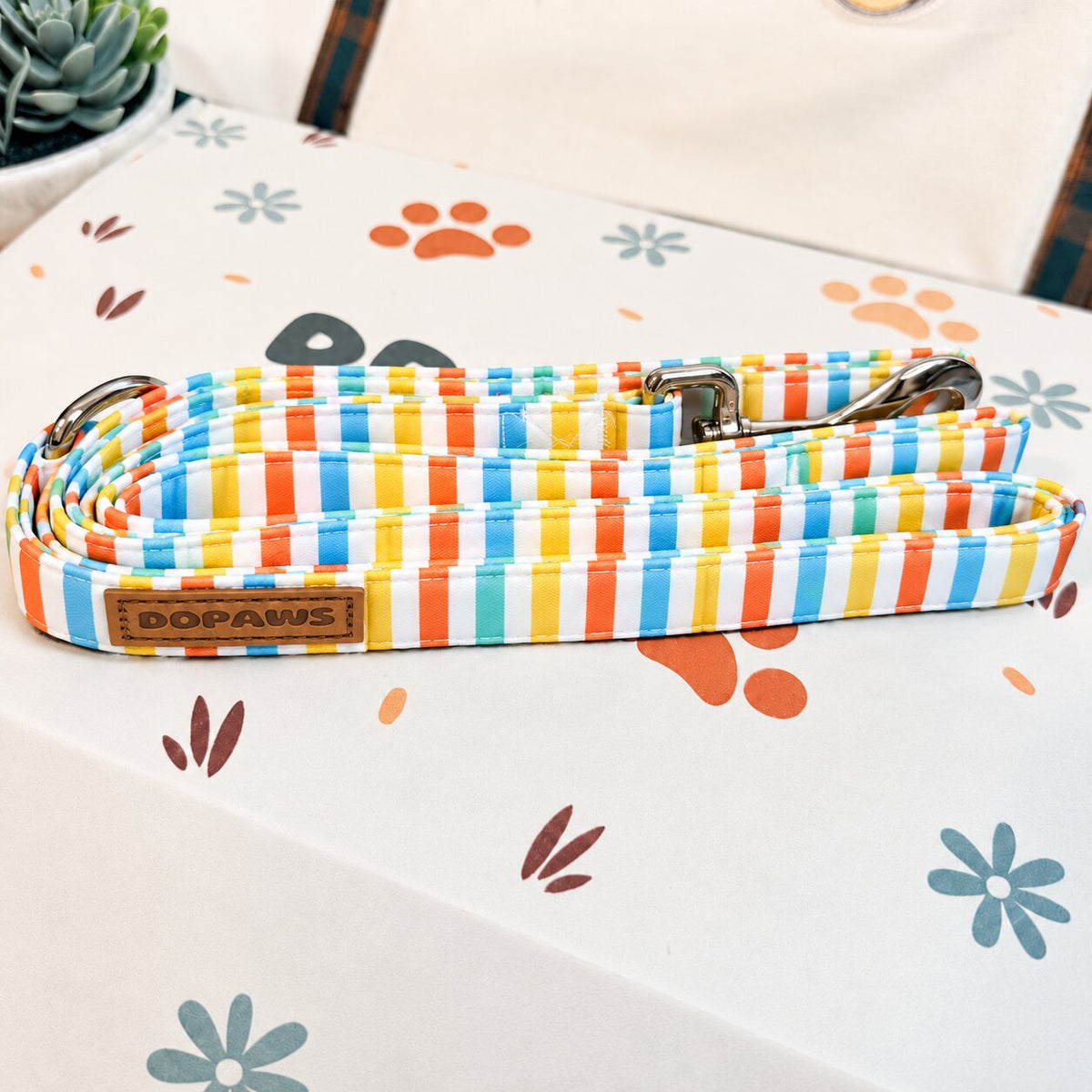 Designed Rainbow Stripe Dog Harness Set