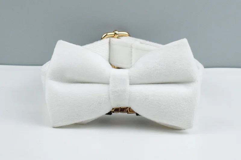 White Velvet Personalized Dog Collar, Leash & Harness Set