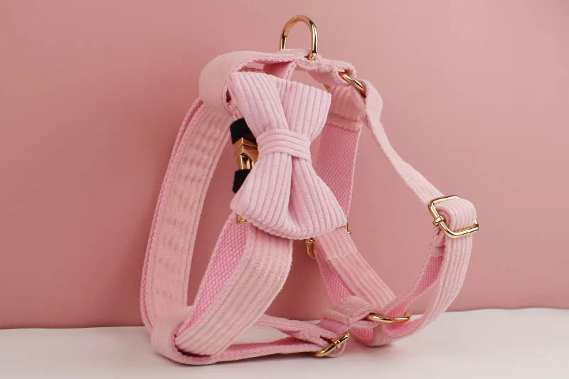 Pink Corduroy Personalized Dog Collar, Leash & Harness Set