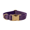 Purple Corduroy Dog Collar Leash and Harness Set