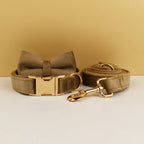 Shallow Khaki Velvet Personalized Dog Collar, Leash & Harness Set