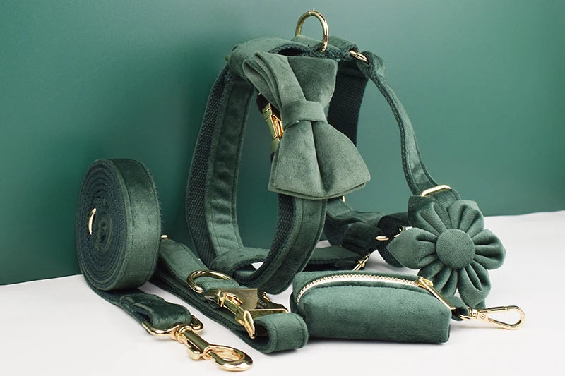 Velvet Personalized Dog Collar, Leash & Harness Set