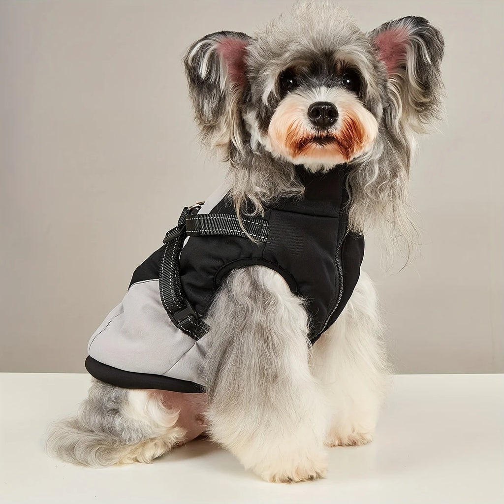 Waterproof Winter Dog Jacket with Harness – Warm Outdoor Coat for Small & Medium Dogs