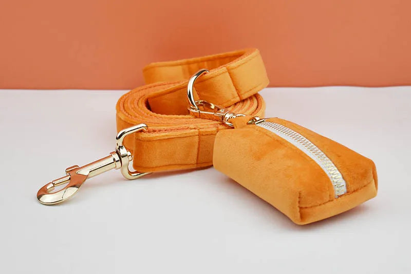 Orange Velvet Personalized Dog Collar, Leash & Harness Set