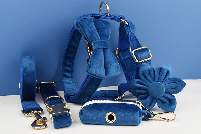 Blue Velvet Personalized Dog Collar, Leash & Harness Set