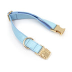 Customized Colorfule Waterproof Pet Collars PU Leather Dog Adjustable Puppy Dog Necklace Durable Pet Leads Accessory