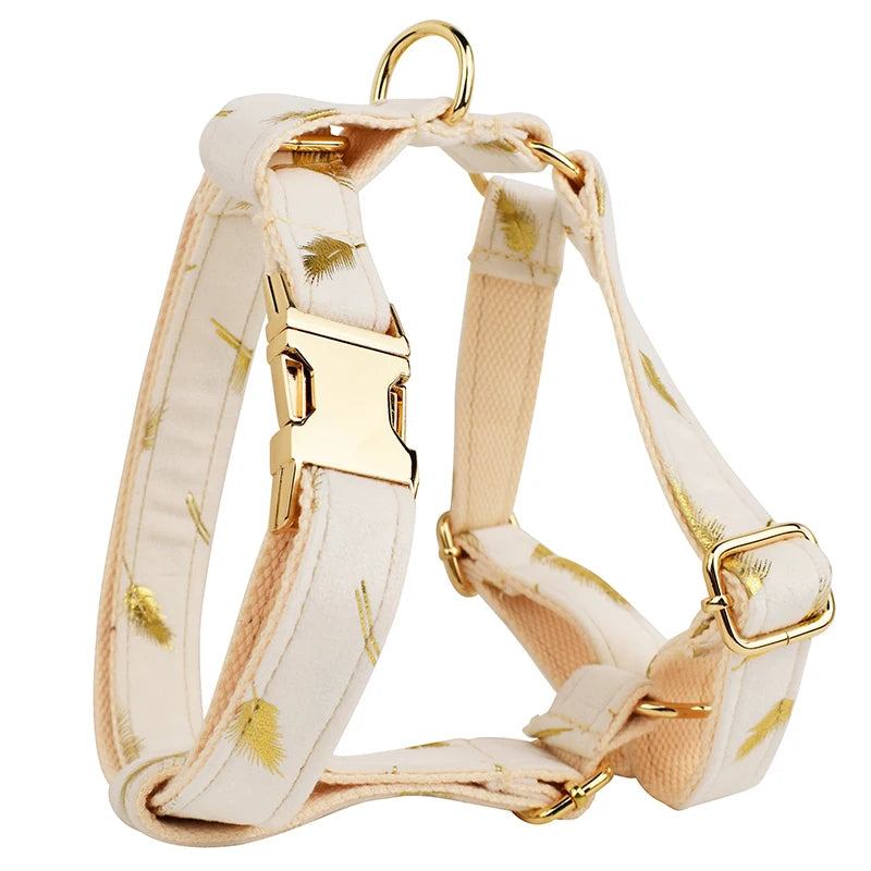 Personalized Dog Collar, Leash & Harness Set