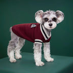 College Style Dog Sweater – Warm Winter Vest for Small & Medium Dogs