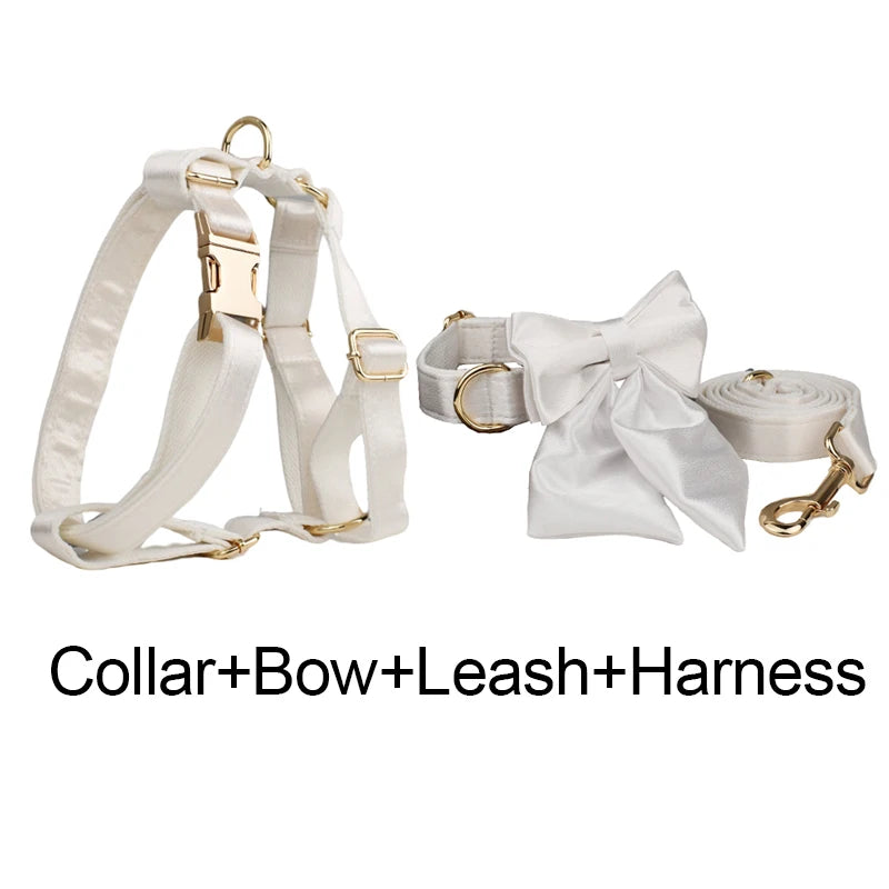 White Personalized Dog Collar, Leash & Harness Set