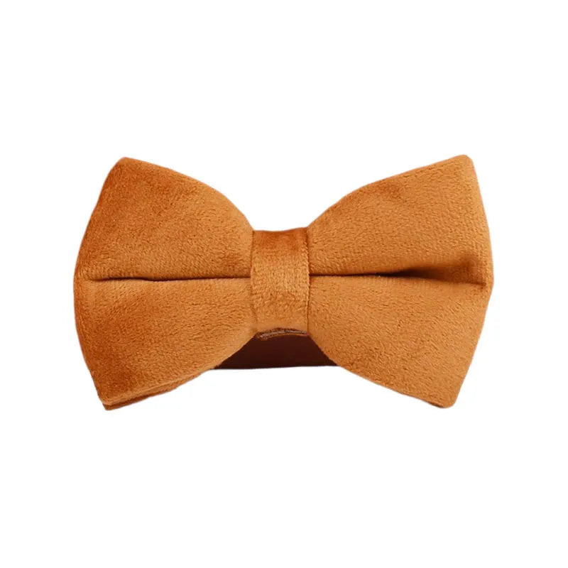 Ancient Pottery Velvet Personalized Dog Collar, Leash & Harness Set