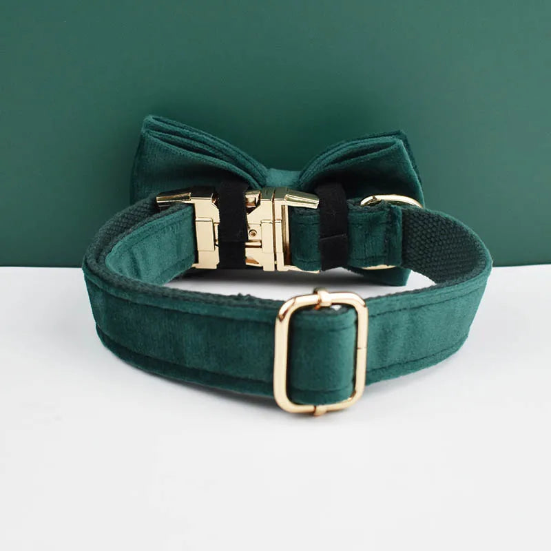 Green Velvet Personalized Dog Collar, Leash & Harness Set