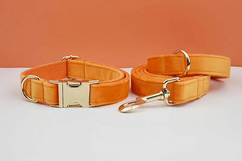 Orange Velvet Personalized Dog Collar, Leash & Harness Set
