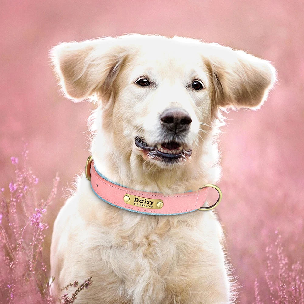 Personalized PU Leather Dog Collar – Soft Padded & Adjustable Custom ID Collar