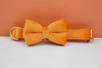 Orange Velvet Personalized Dog Collar, Leash & Harness Set